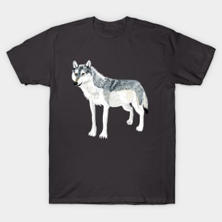 Totem Alberta Wolf T-Shirt